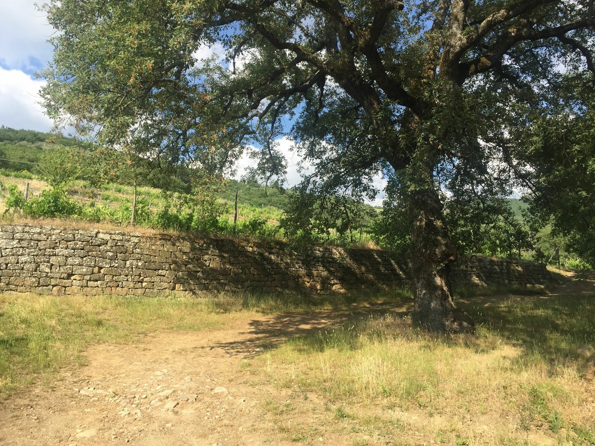Villa La Grotta San Giustino Valdarno Esterno foto